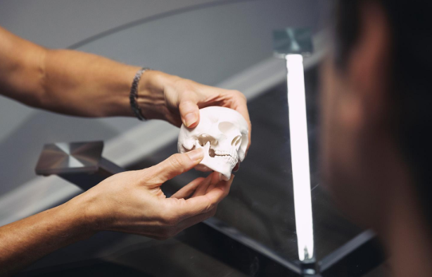 Dentist evaluating a patient experiencing jaw pain